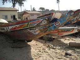 Bakau