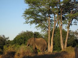 Matusadona National Park