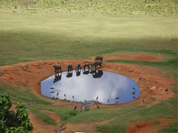 Parc de Tsavo