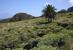 La Gomera