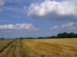 Auvers-sur-Oise