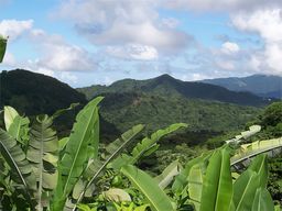 Parc national de Morne-Trois-Pitons
