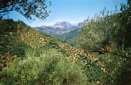 Kabylie