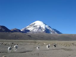 Parc national Sajama