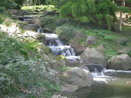 Regent's Park
