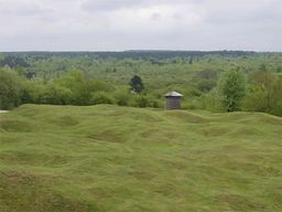 Verdun