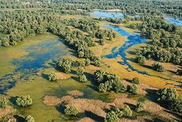Croatie Slavonie Parc de Kopački Rit