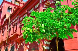 Colombo