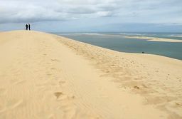 Vélodyssée Dune du Pilat