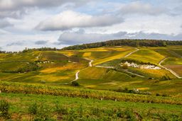 Épernay