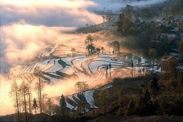 Chine Yunnan Rizières Yuanyang