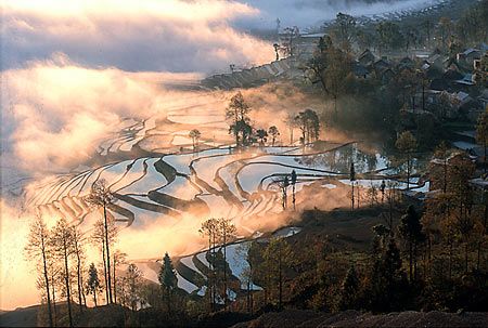 Chine Yunnan Rizières Yuanyang